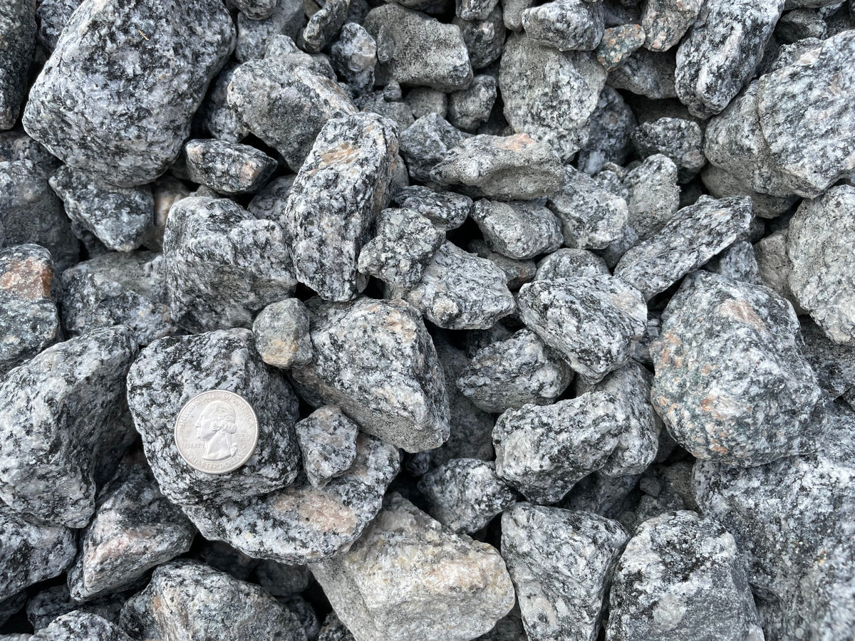 Salt and Pepper Stone Classic and Elegant A1ASOD A1A Sod Sand Soil