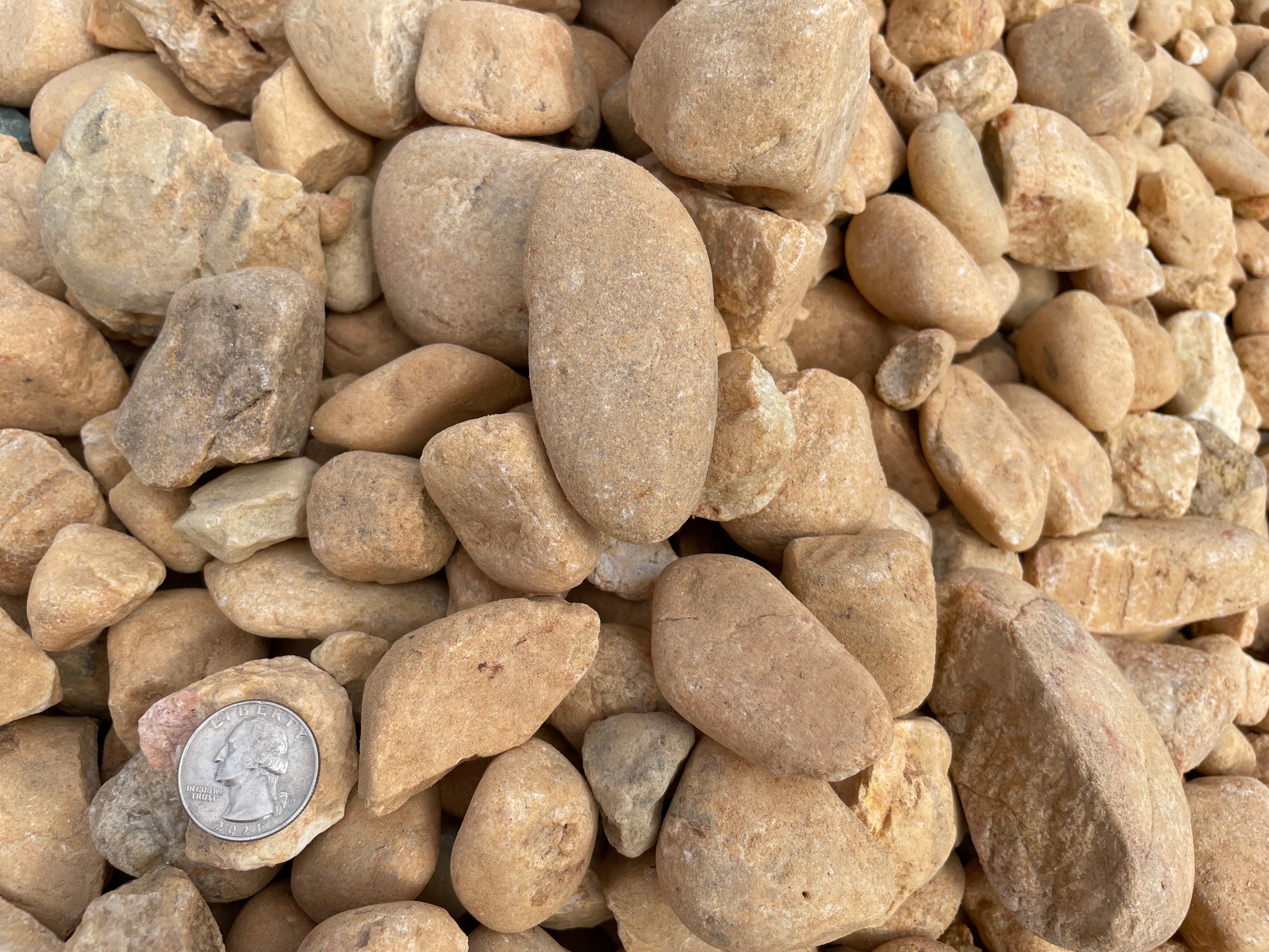 Extra Large Brown River Rocks