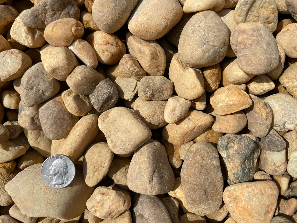Large Brown River Rocks - Enhance Your Outdoor Spaces – A1A Sod Sand Soil